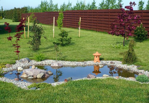 Backyard with water feature and small shrubs