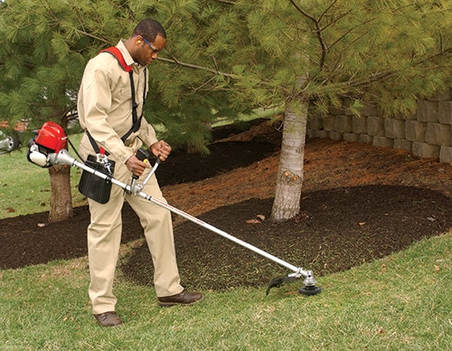 Man trimming the grass with a Honda Trimmer